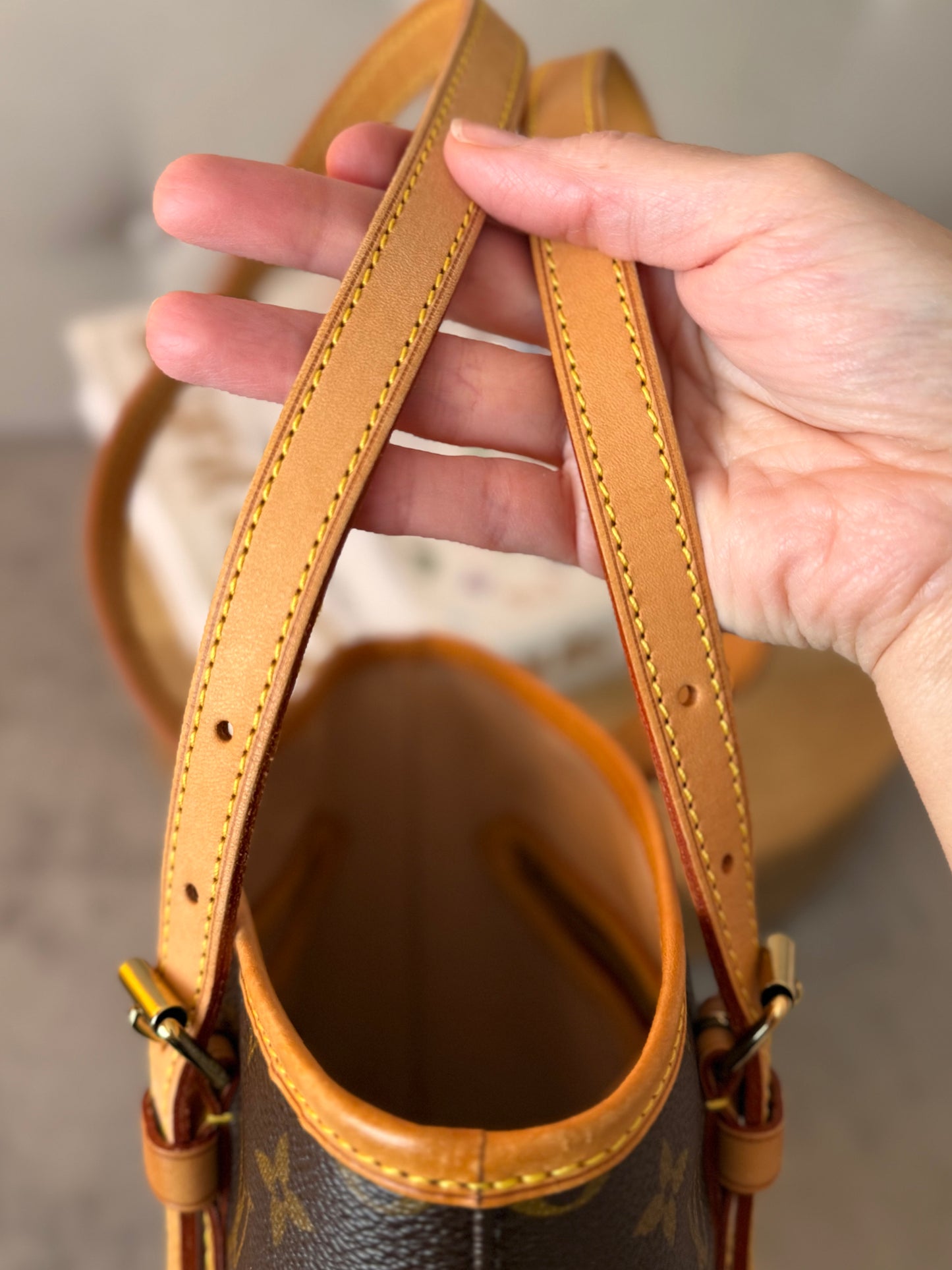 LV Bucket PM in Monogram