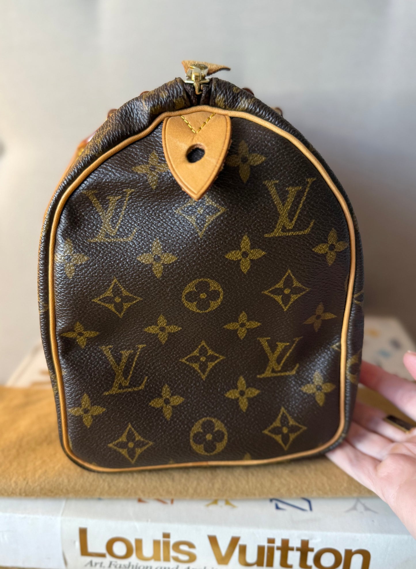 LV Speedy 25 Monogram