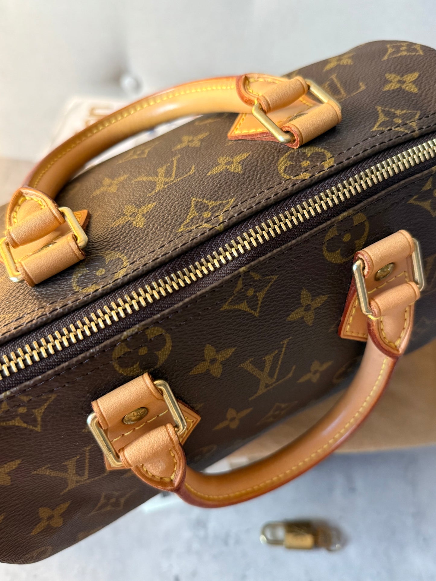 LV Speedy 25 Monogram