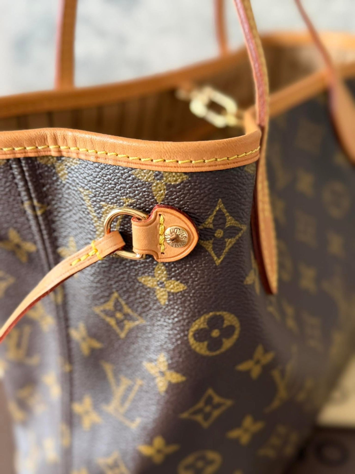 LV Neverfull PM Monigram