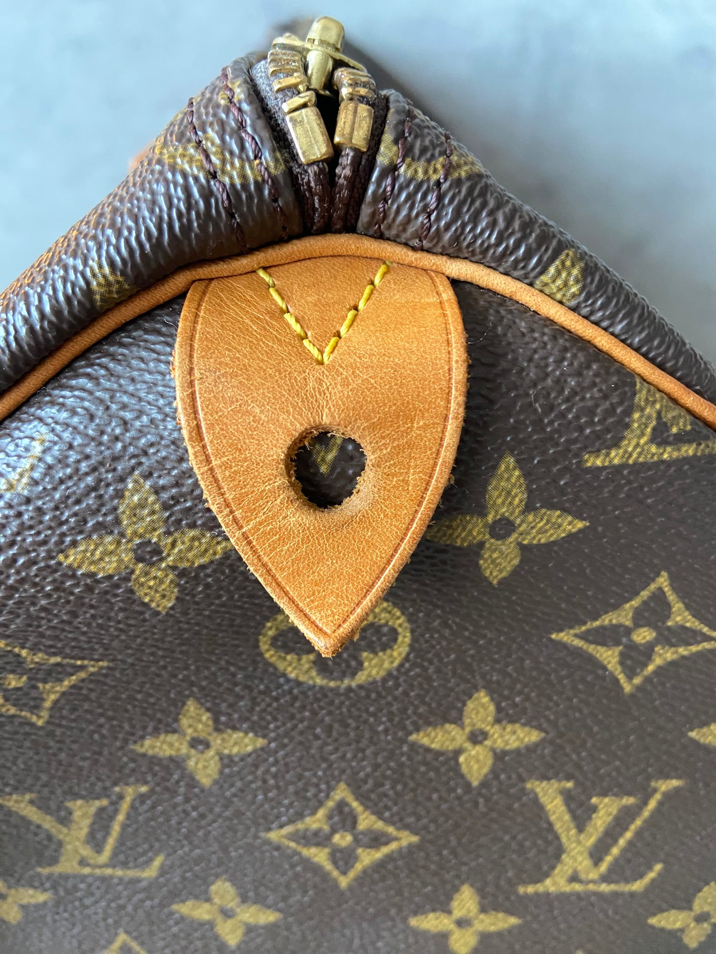 LV Speedy 35 monogram