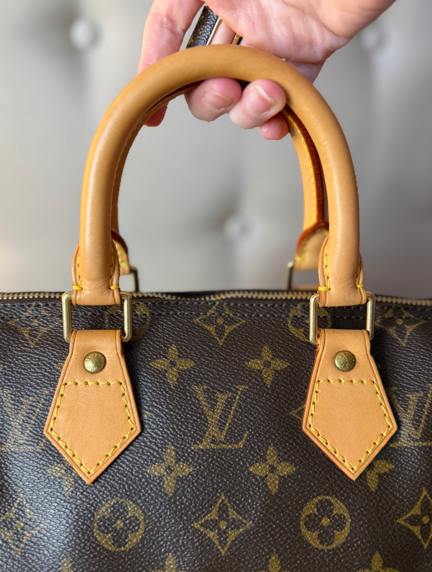 LV Speedy 25 Monogram