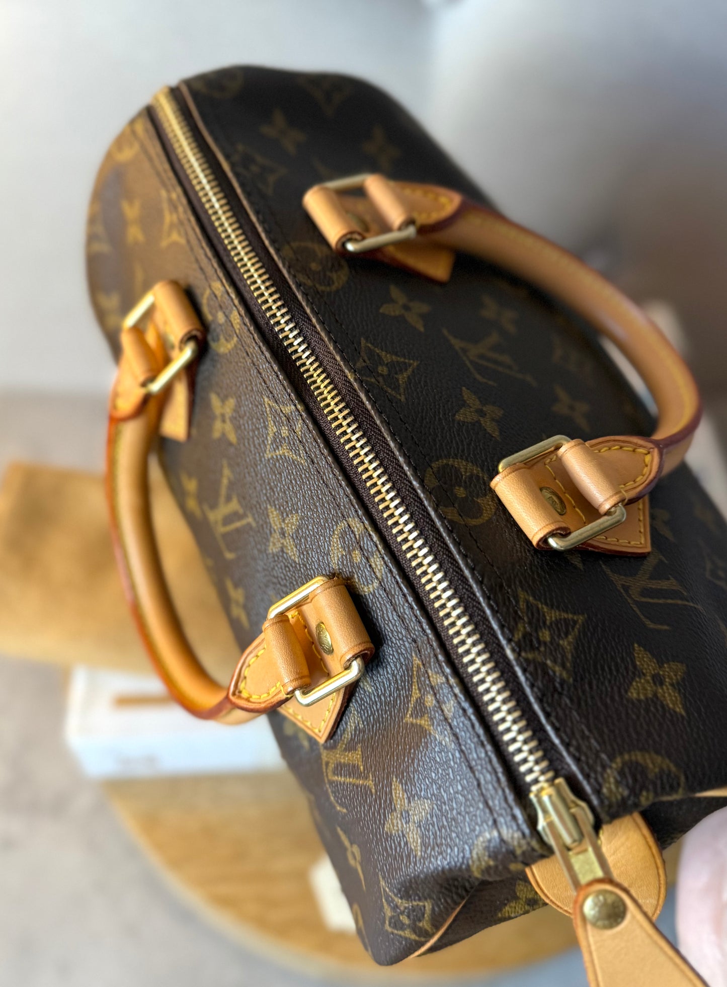 LV Speedy 25 Monogram