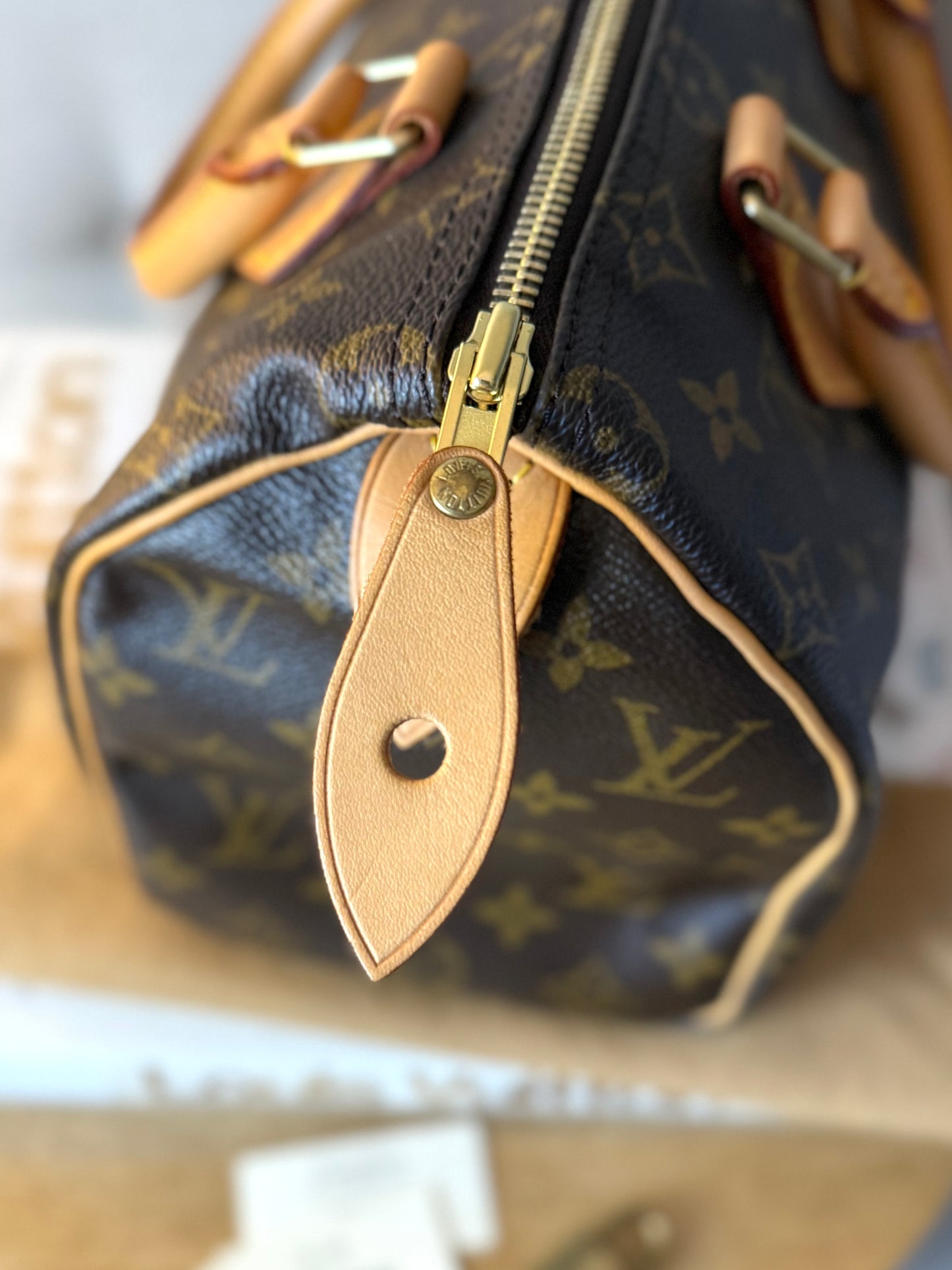 LV Speedy 25 Monogram