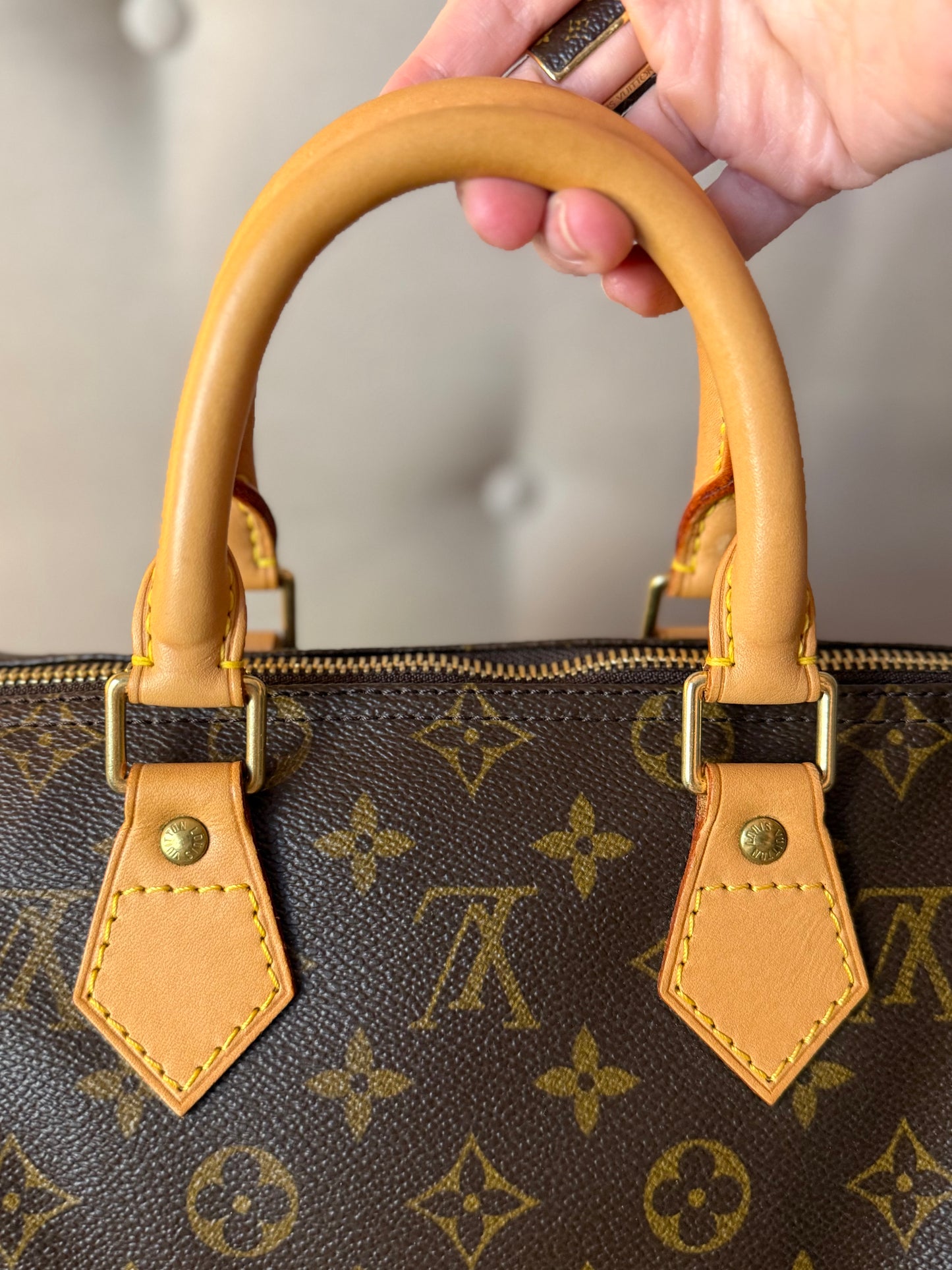 LV Speedy 25 Monogram