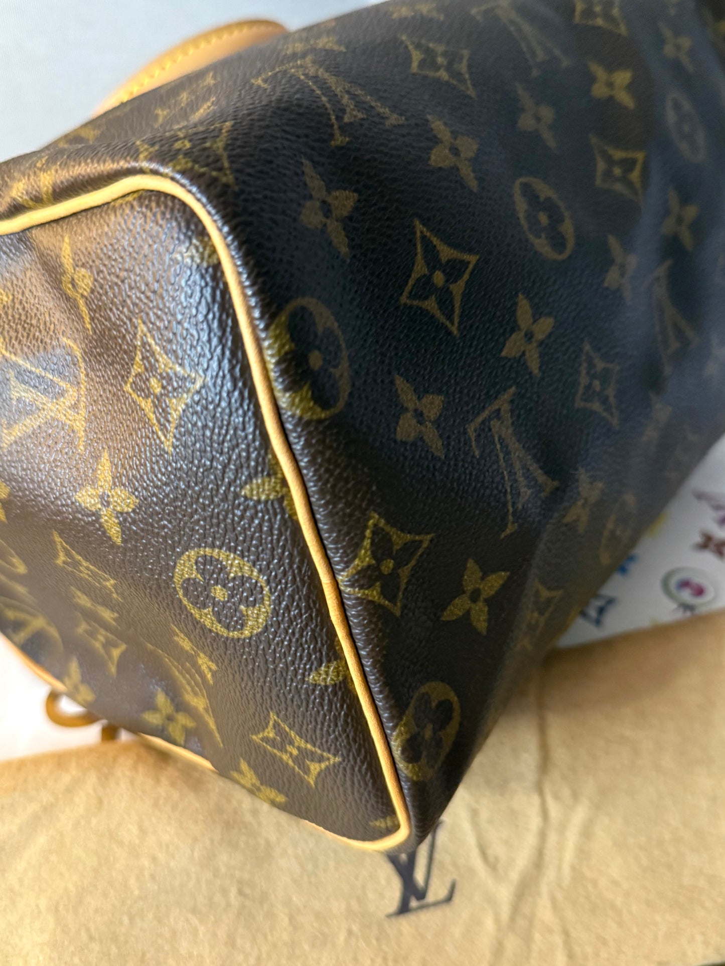 LV Speedy 25 Monogram