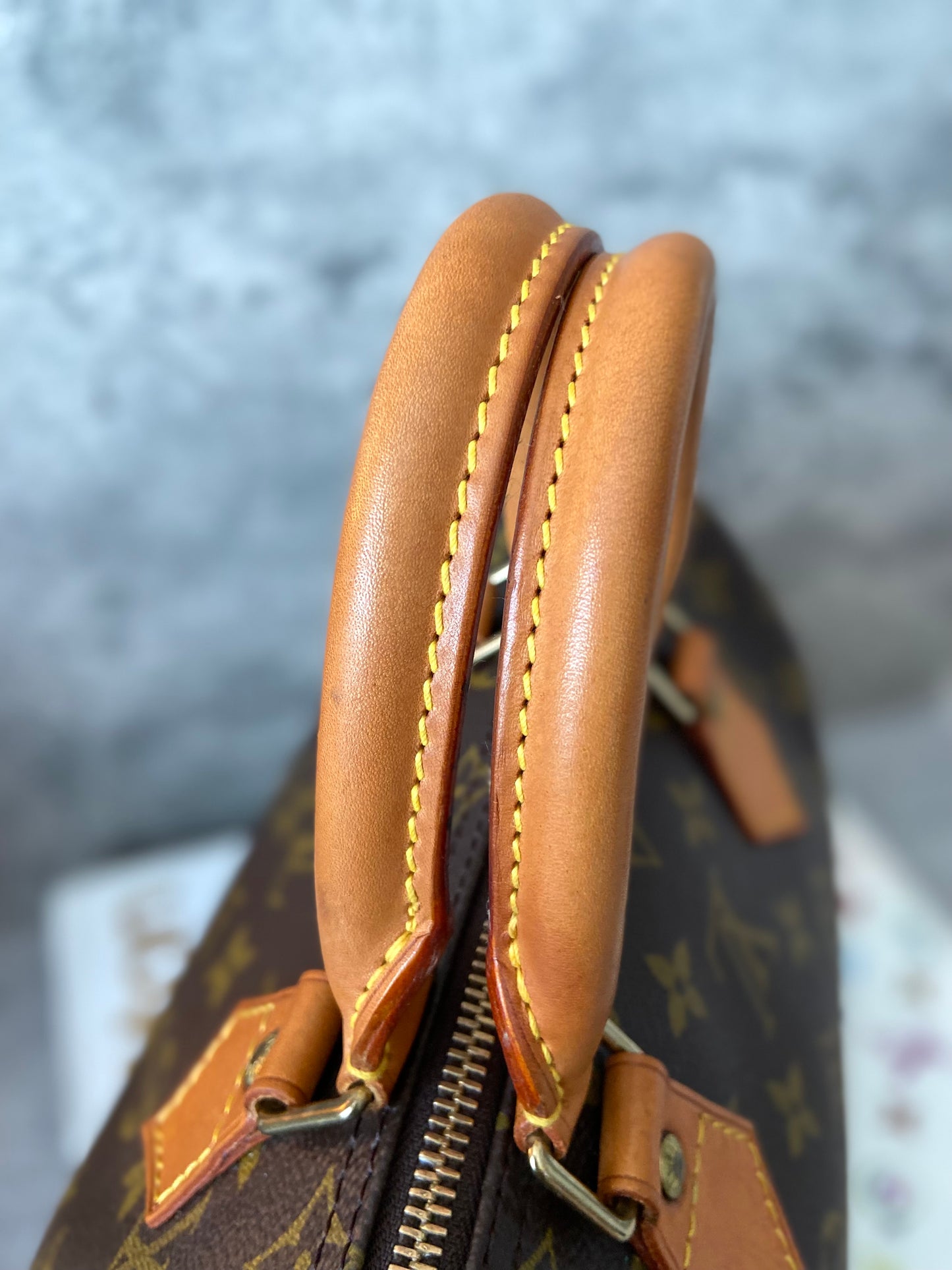 LV Speedy 25 Monogram