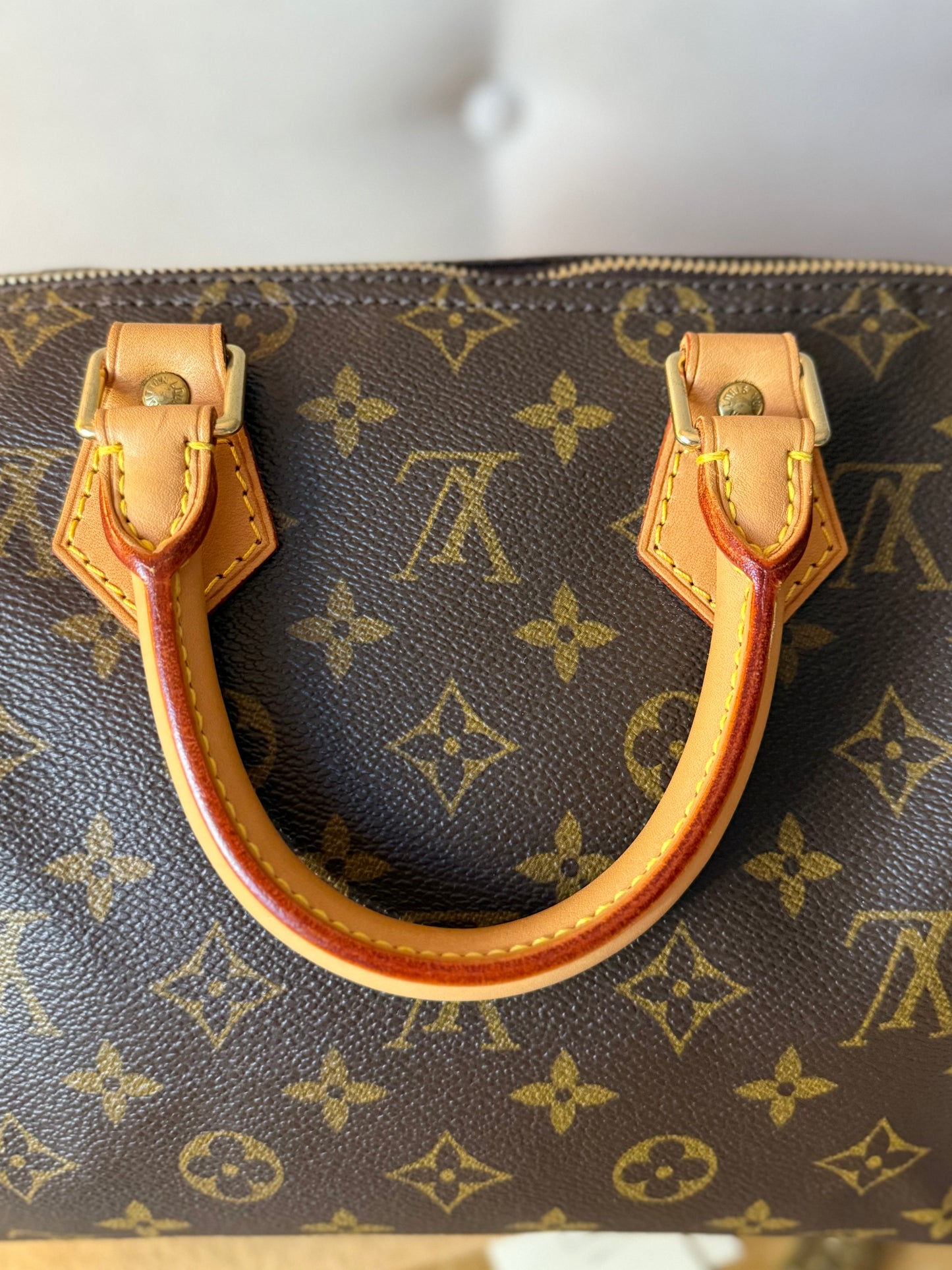 LV Speedy 25 Monogram