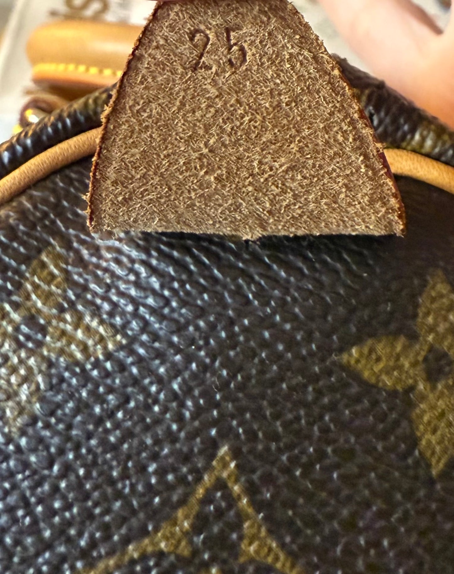 LV Speedy 25 Monogram