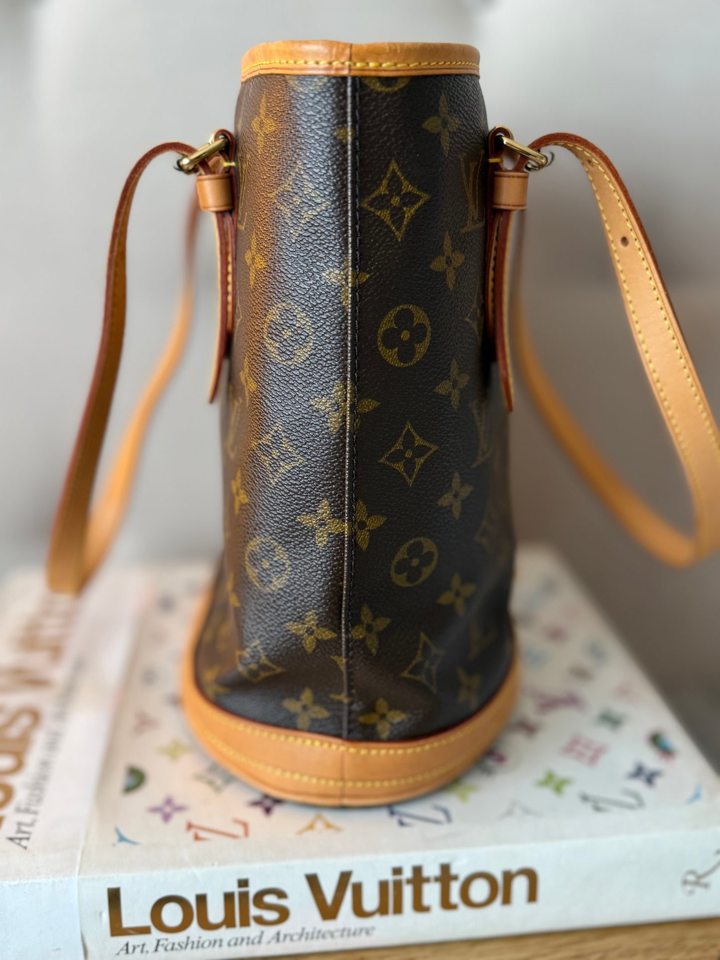 LV Bucket PM in Monogram