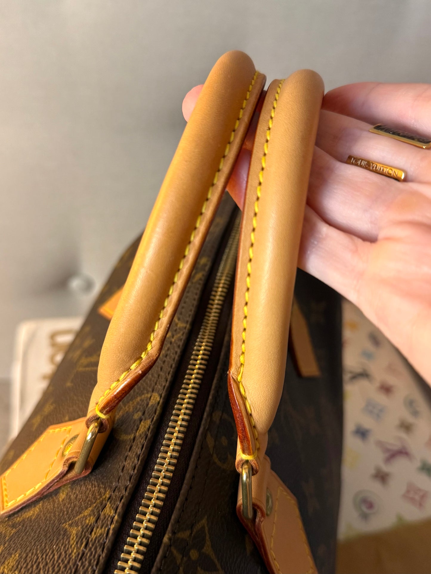 LV Speedy 25 Monogram