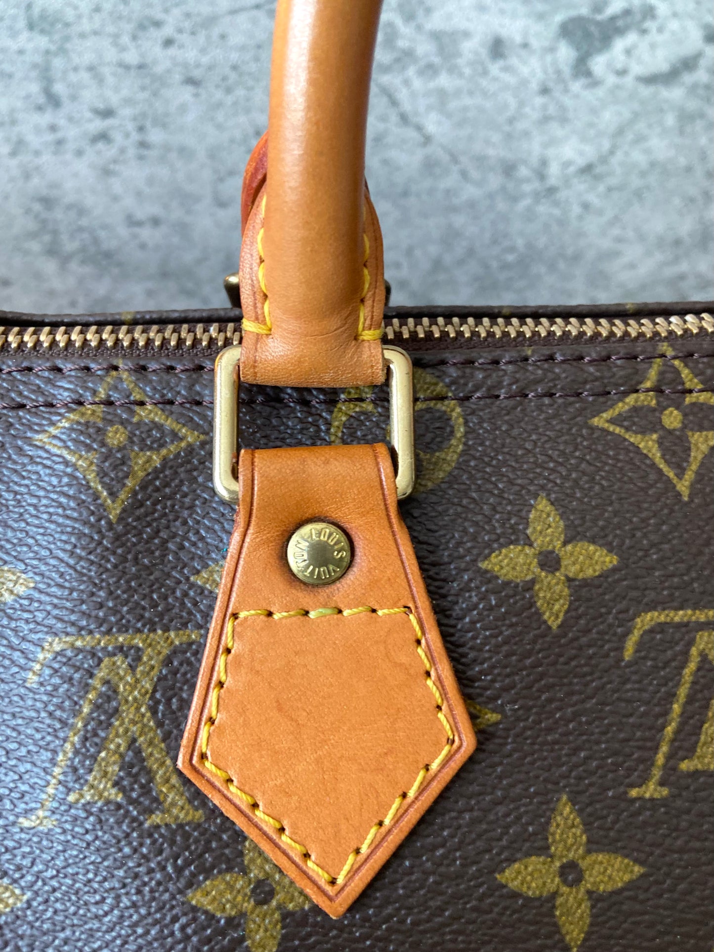 LV Speedy 25 Monogram